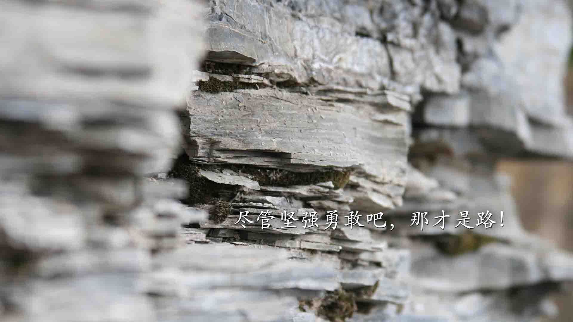 世界杯预选赛中国青年队爆冷 球迷呼吁调整战术,世界杯预选赛中国队怎么样了