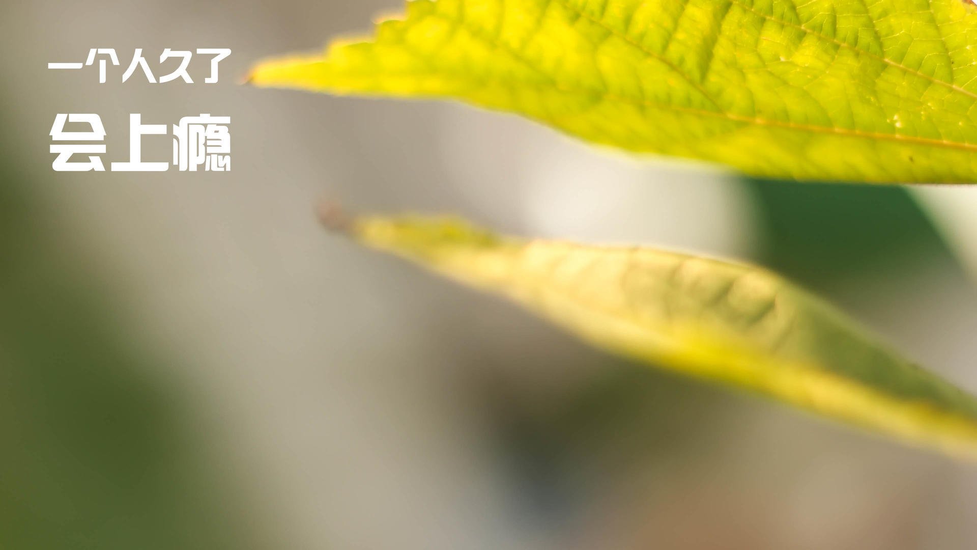 中国三人篮球男队灵活转换攻守节奏,中国三人篮球换人