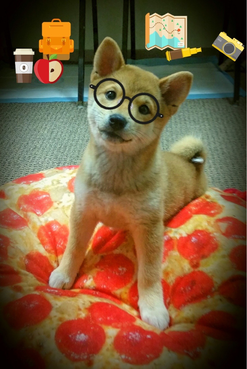 俱乐部青训储备球员流失率过高,青训俱乐部球员合同完整版