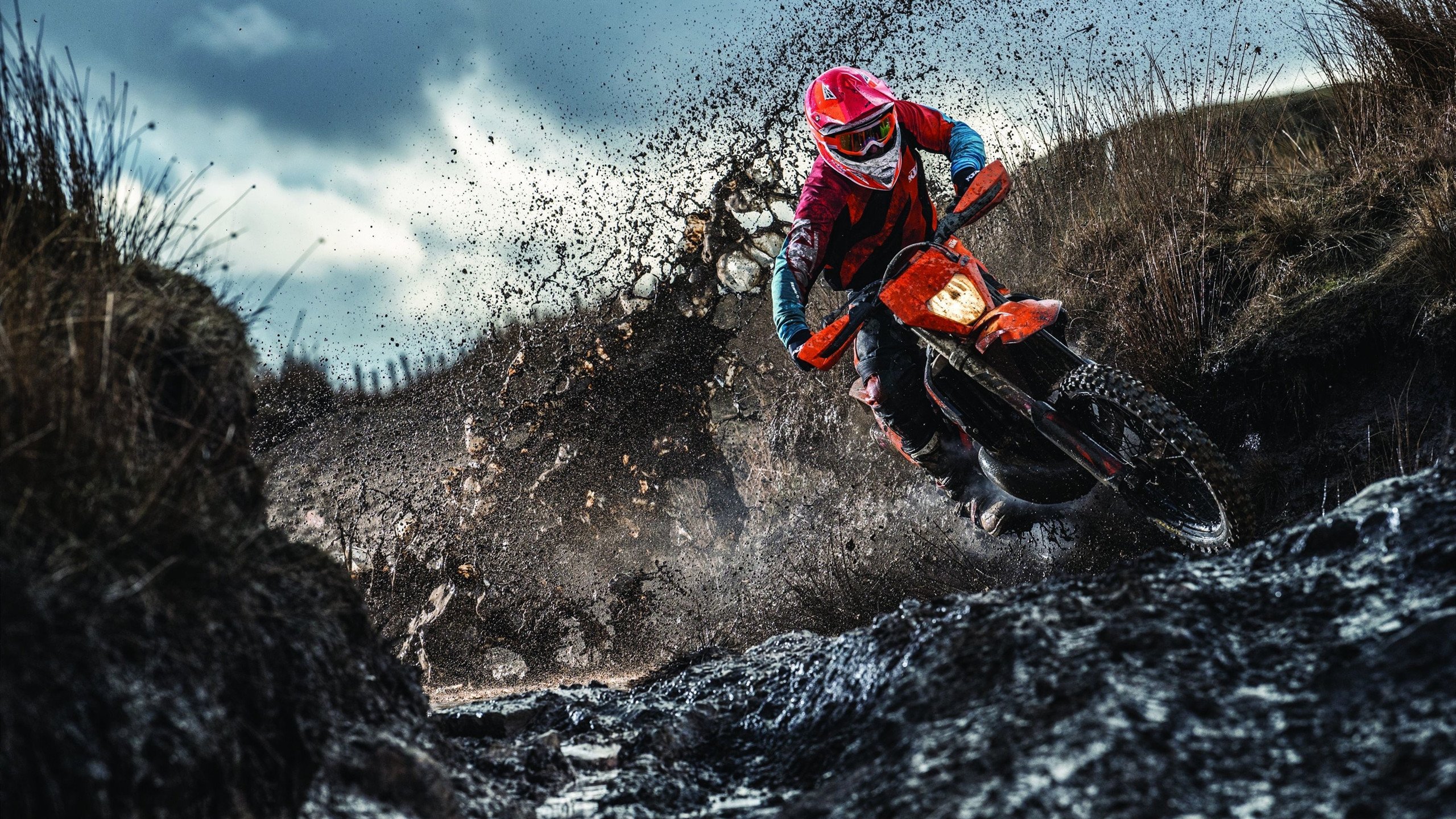 数据曲线:美国选手配速高峰前移,美国队短跑选手