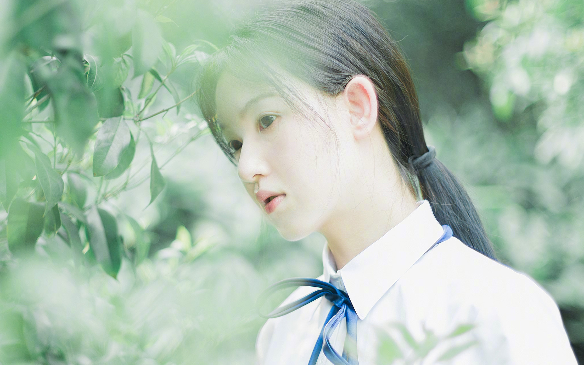 校园篮球普及范围为何南北差异明显,校园篮球现状