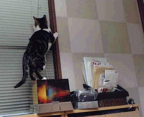 九游娱乐网站-职业联赛失误率控制体系建设滞后，比赛失常