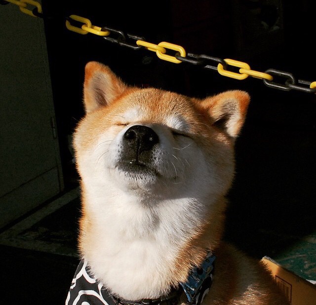 选手退役感言打动人心讲述电竞青春岁月,电竞退役说的话