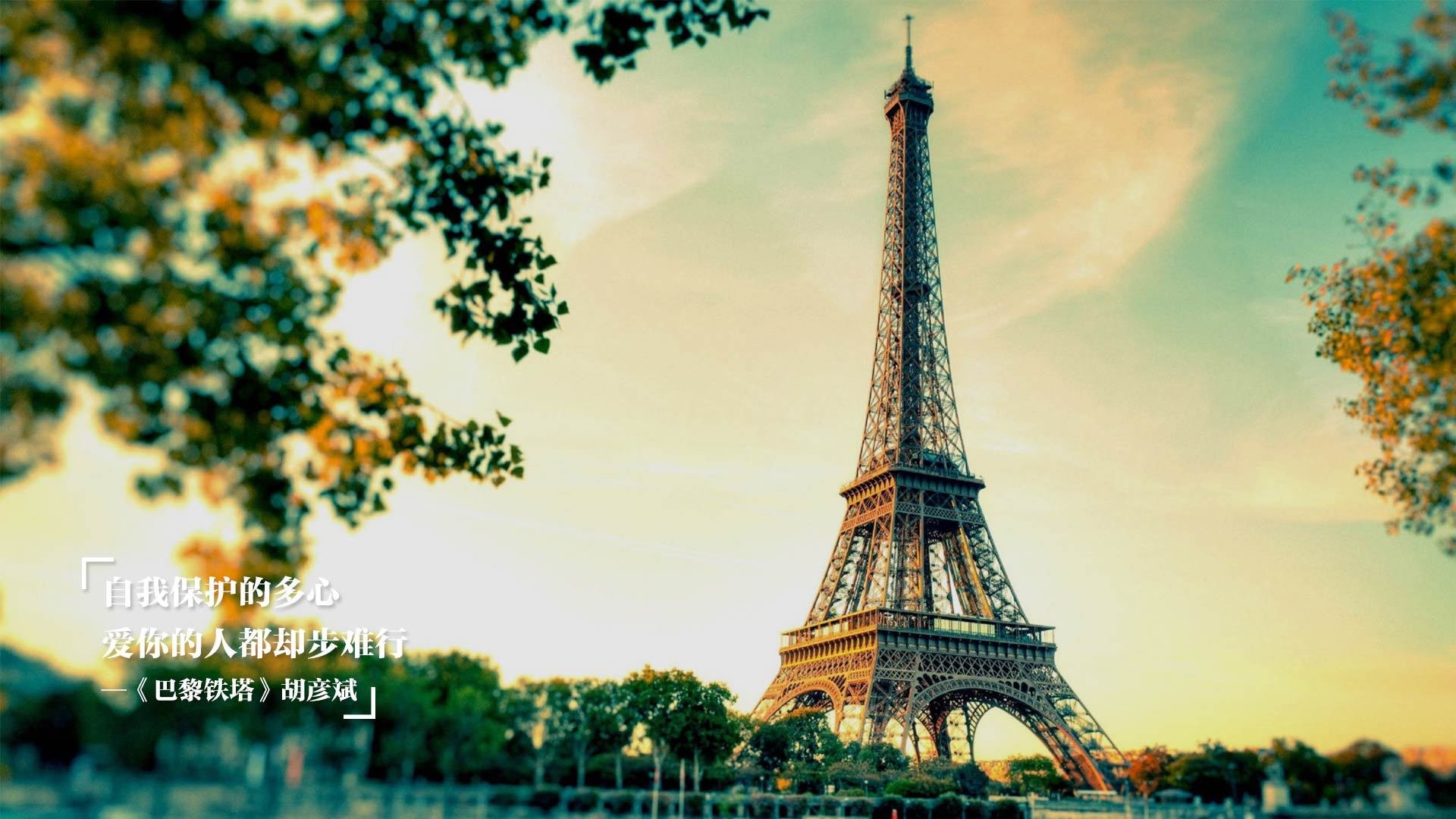 九游网页官网-全黑队的快速反击与稳固防守是其致胜的核心，全黑队战舞