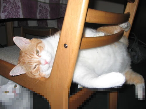 哈登谈攻防转换中的体能分配策略,哈登体前变向教学