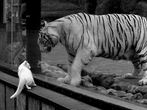 国家篮球训练基地扩建计划启动打造亚洲一流专业设施，国家篮球训练基地在哪